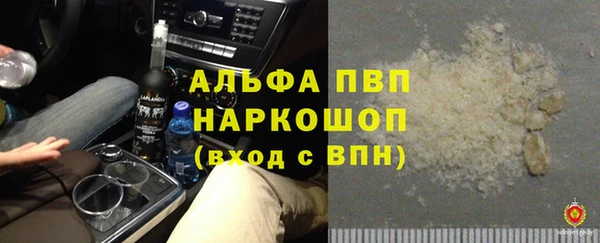 трава Белокуриха