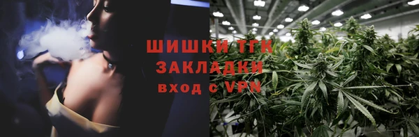 стаф Богородицк