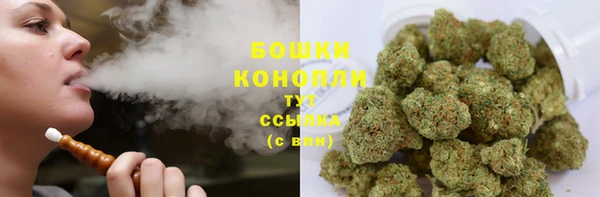 соль ск Богородск