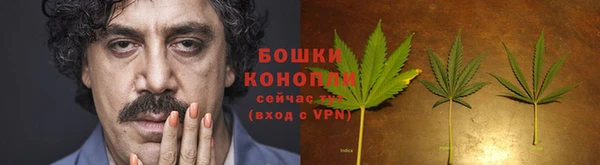 стаф Богородицк