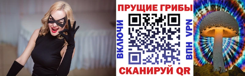 Галлюциногенные грибы Cubensis  мега как войти  Гусь-Хрустальный  купить наркоту 
